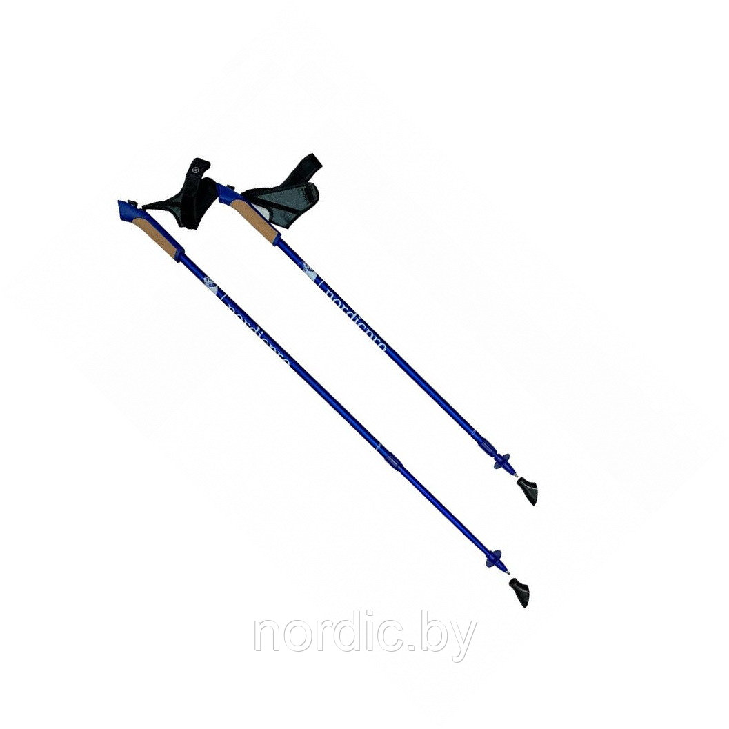 Палки Nordic Pro Alu телескопические Синий