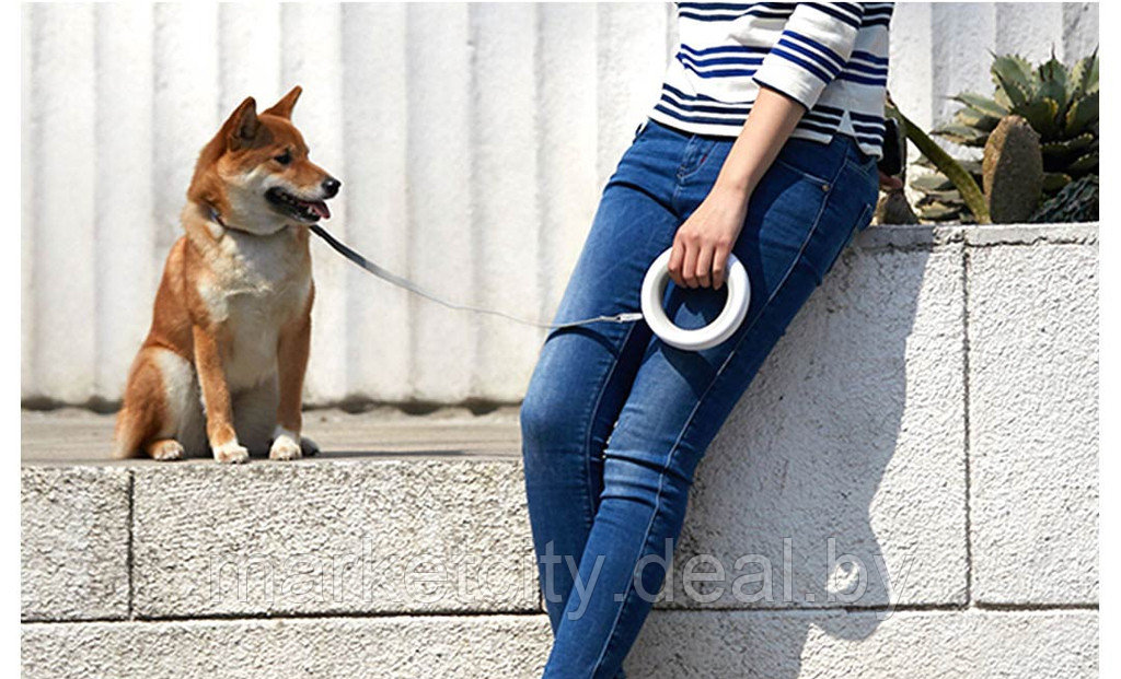 Умный поводок-рулетка для собак Xiaomi UFO Retractable Leash 2 с фонариком type-C Gray - фото 9 - id-p157907416