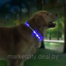 Светящийся ошейник Xiaomi Youpin Little Beast Glowing Collar LED XL81-5001 Blue - фото 2 - id-p157907471