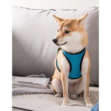 Нательный ошейник для собак Xiaomi Jordan Judy PE073 - фото 2 - id-p157907492