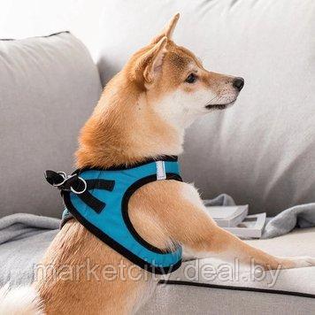 Нательный ошейник для собак Xiaomi Jordan Judy PE073 - фото 3 - id-p157907492