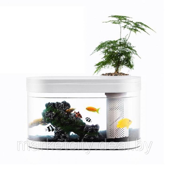 Аквариум Про 10 л Xiaomi Geometry Fish Tank Aquaponics Ecosystem(C180) - фото 1 - id-p158089413