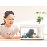Аквариум Про 10 л Xiaomi Geometry Fish Tank Aquaponics Ecosystem(C180), фото 2