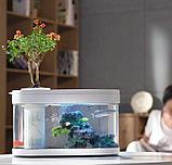 Аквариум Про 10 л Xiaomi Geometry Fish Tank Aquaponics Ecosystem(C180), фото 4