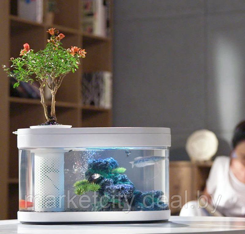 Аквариум Про 10 л Xiaomi Geometry Fish Tank Aquaponics Ecosystem(C180) - фото 4 - id-p158089413