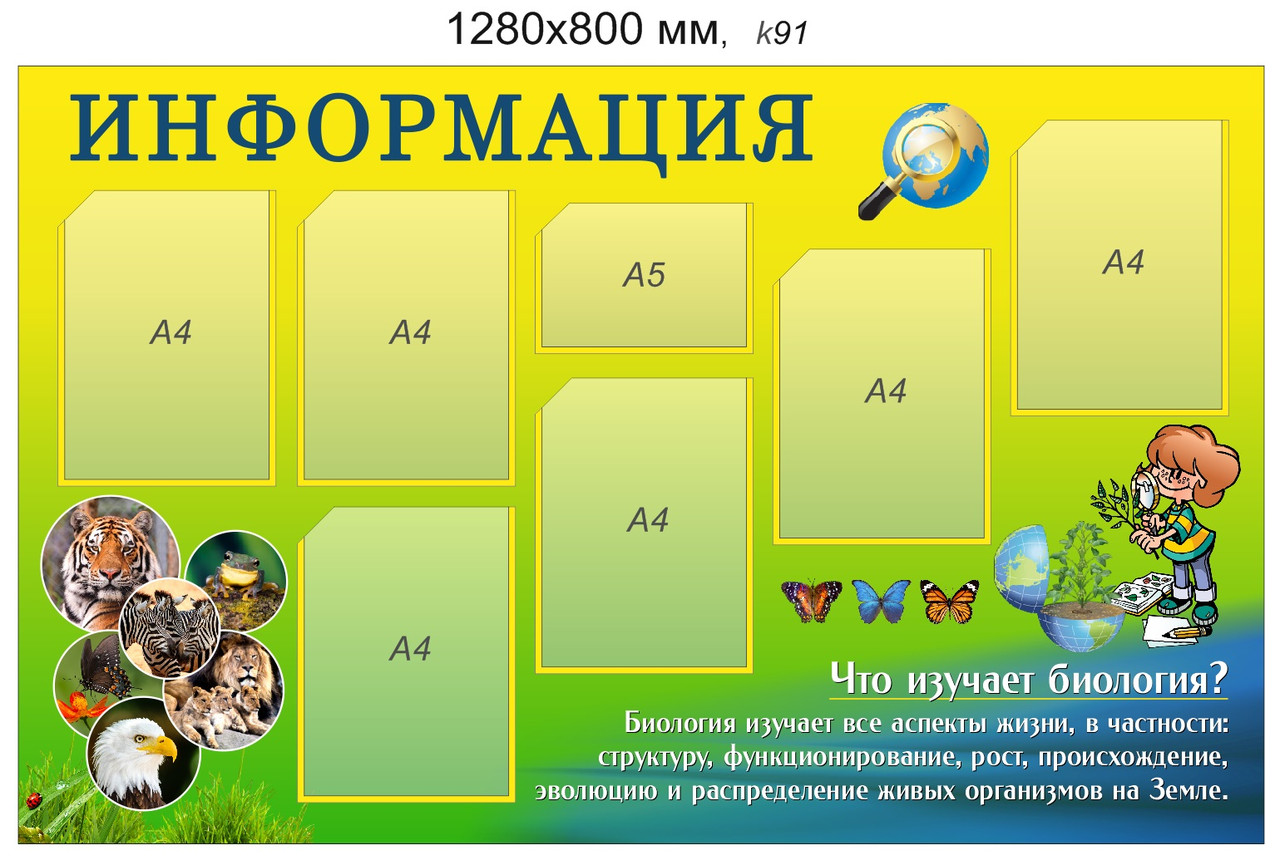 Стенд "Информация" в кабинет биологии. 1280х800 мм