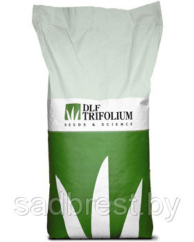 Семена газона DLF Trifolium Universal Road Роуд, Дания (весовые)