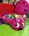 Детская песочница бассейн переносная большая Божья коровка с крышкой, в доме можно шарики, различные цвета, фото 2