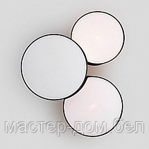 TK Lighting 3445, фото 2