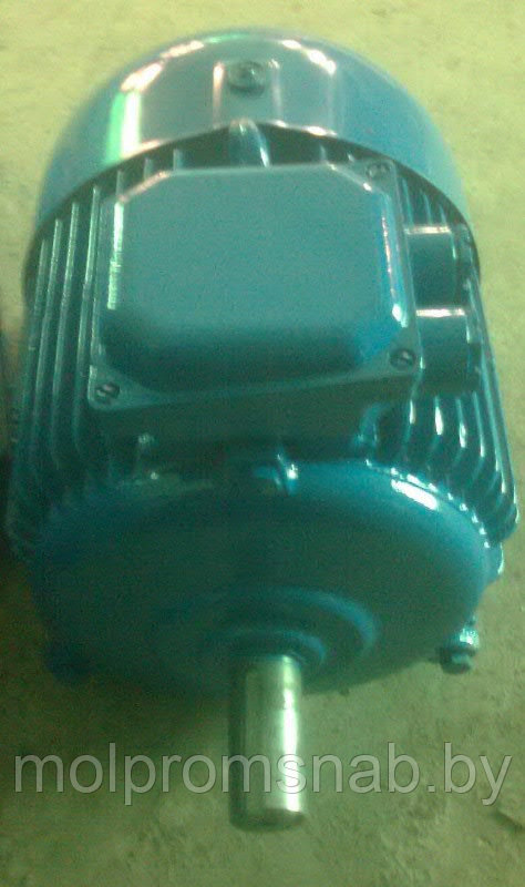 Электродвигатели двухскоростные серии АИС - фото 2 - id-p15004943