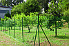 Пластиковая сетка для ограждения MILLENNIUM (Италия) 1,5м*10м. зеленая, фото 2