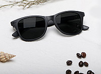 Солнцезащитные очки Xiaomi Turok Steinhardt Hipster Traveler STR004-0120 (Черный)