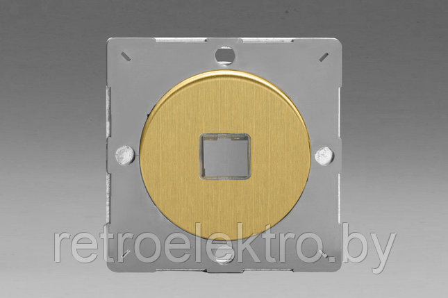 Монтажная плата для 1-го инф. разъема RJ-45 (без разъема) Varilight, цвет Brushed Brass (матовая латунь), фото 2