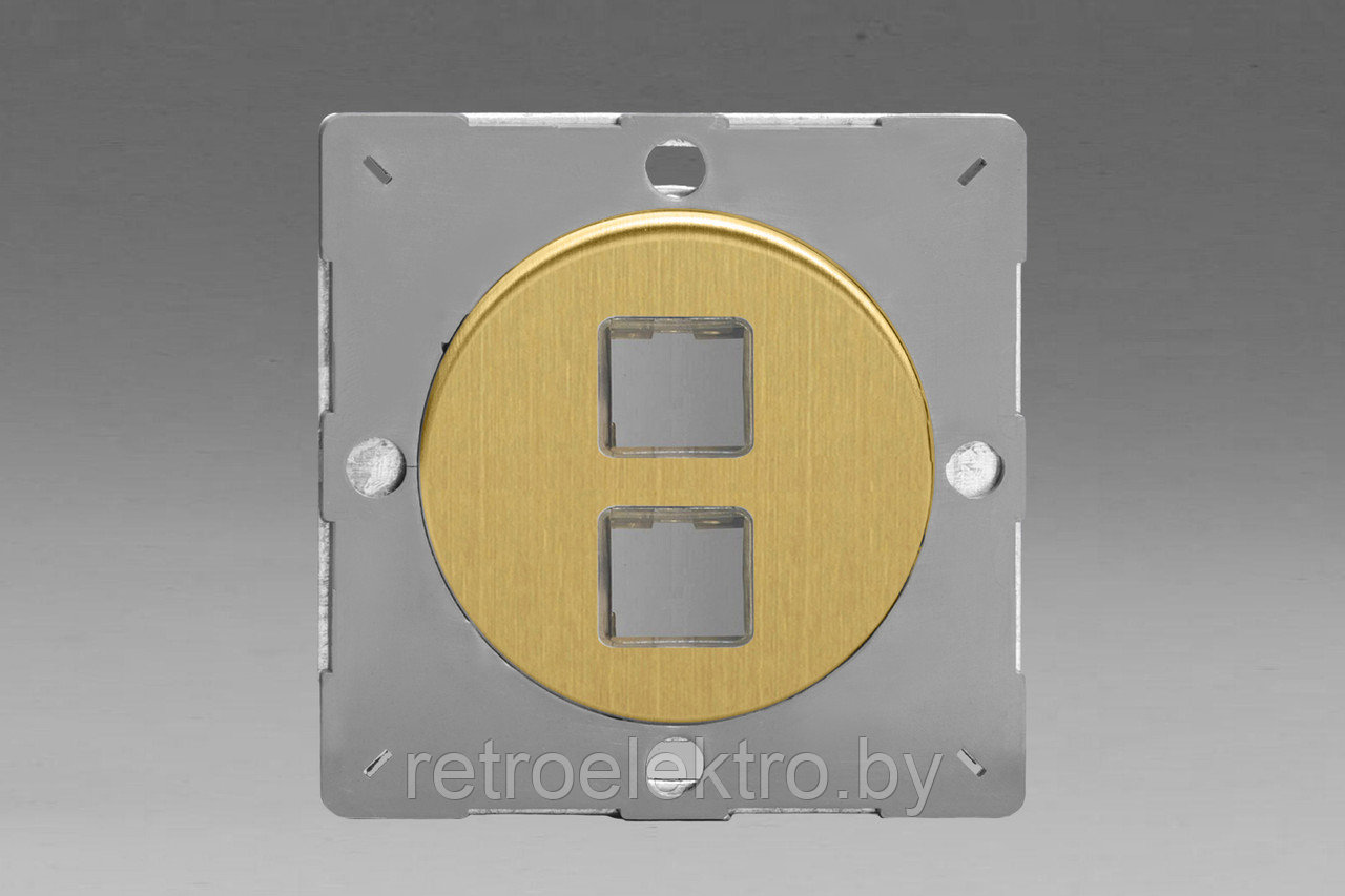 Монтажная плата на 2 инф. разъема RJ-45 (без разъема) Varilight, цвет Brushed Brass (матовая латунь)