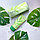 Солнцезащитный увлажняющий крем для кожи лица с семенами зелёного чая FarmStay Green Tea Seed Moisture Sun, фото 10