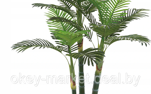 Дерево искусственное декоративное Пальма 165 см, фото 2