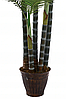 Дерево искусственное декоративное Пальма 200 см, фото 6