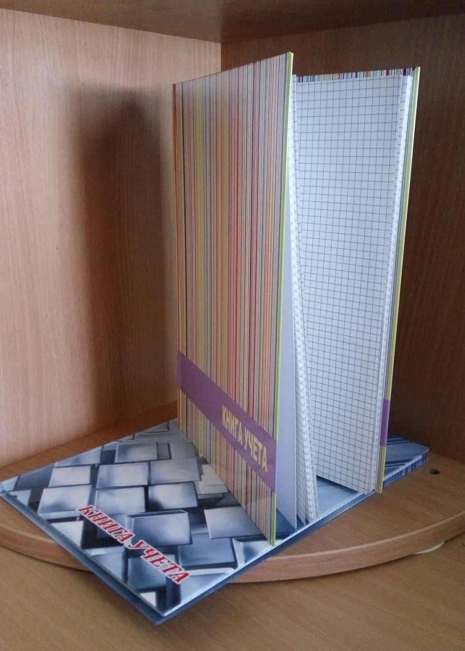 Книга учета в клетку в твердой ламинированной обложке, офсет, 96 листов