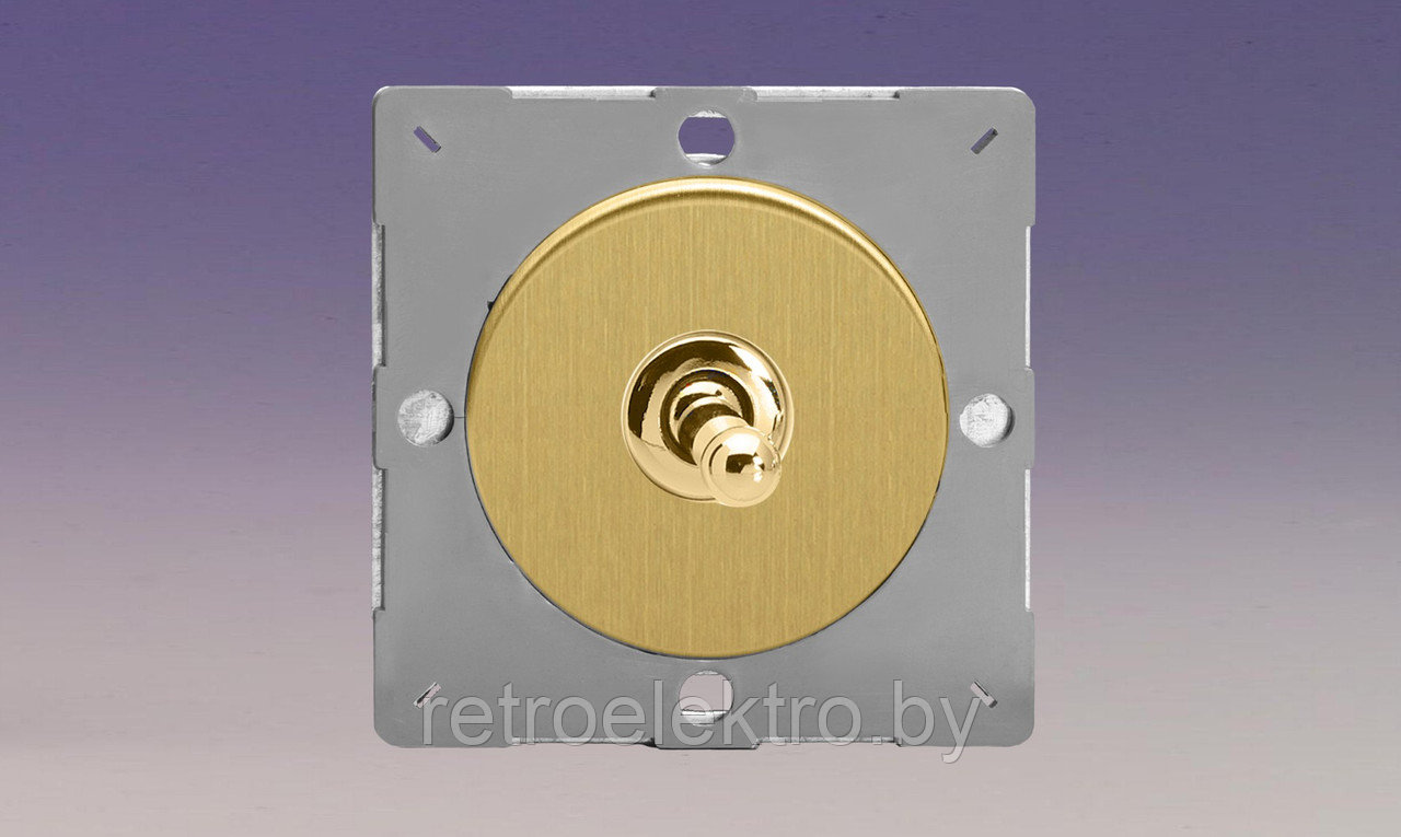 Одноклавишный тумблерный выключатель/переключатель 10А, цвет Brushed Brass (матовая латунь) - фото 1 - id-p158986044