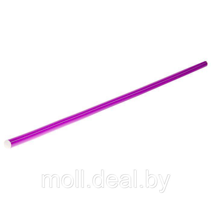 Палка гимнастическая 100 см, цвет фиолетовый - фото 1 - id-p124772069