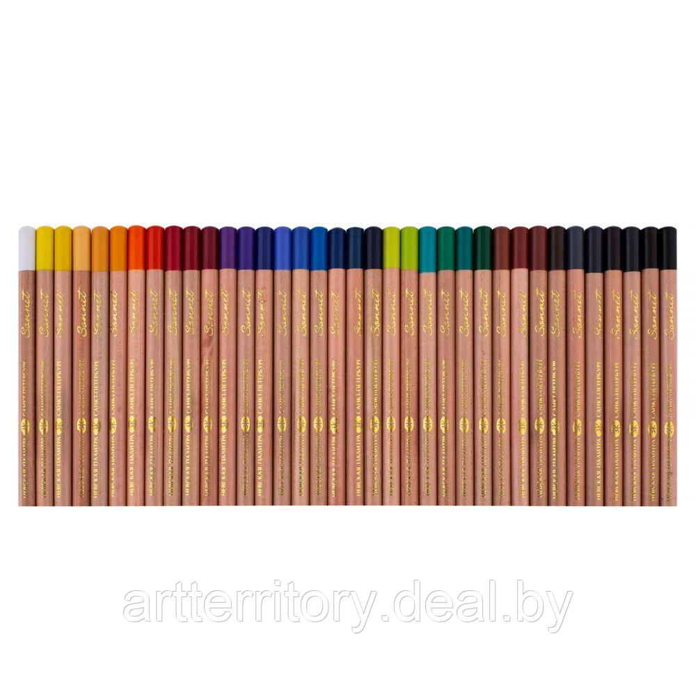 Набор пастельных карандашей Сонет, 36 цветов - фото 3 - id-p158816927