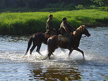 Езда на лошадях
