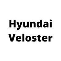 Защита двигателя Hyundai Veloster