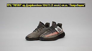 Кроссовки Adidas Yeezy 350v2 Ash Stone