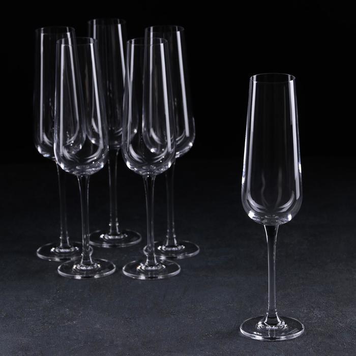 Набор бокалов для шампанского Corvus,160 мл, 6 шт - фото 1 - id-p156791201