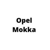 Защита двигателя Opel Mokka