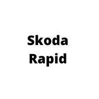 Защита двигателя Skoda Rapid