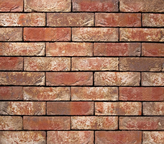Кирпич ручной формовки Leonora DF +/-210х100х65мм, (VANDERSANDEN)