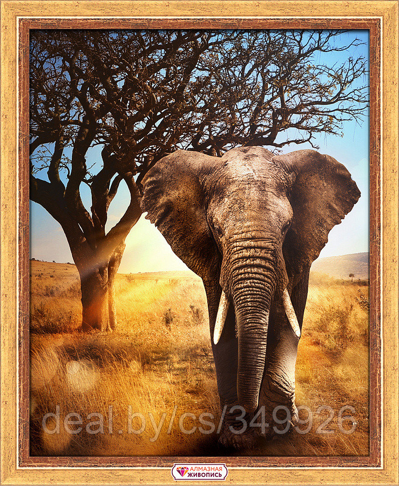 Набор для изготовления картин АЛМАЗНАЯ ЖИВОПИСЬ арт.АЖ.1783 «Африканский слон» 40х50 см