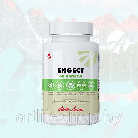 Engect ( Энжект), 60 КАПС., фото 2