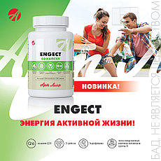 Engect ( Энжект), 60 КАПС., фото 2