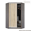 Угловой шкаф-купе ШК 30 (1,2х1,2) Сенатор - 1 зеркало (варианты цвета) фабрика Кортекс-мебель, фото 2