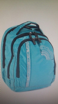 Рюкзак для учащихся средних,старших классов БИРЮЗА арт. 1с1785к45 - фото 1 - id-p159524079