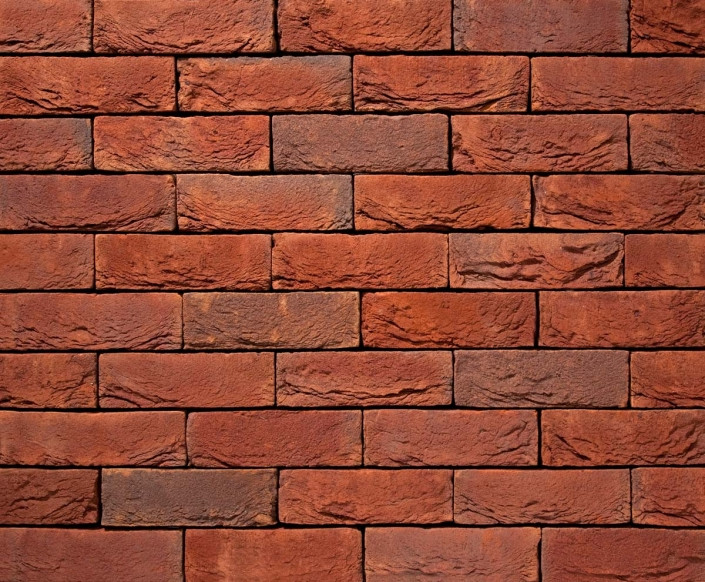 Кирпич ручной формовки Scala DF +/-210х100х65мм, (VANDERSANDEN)