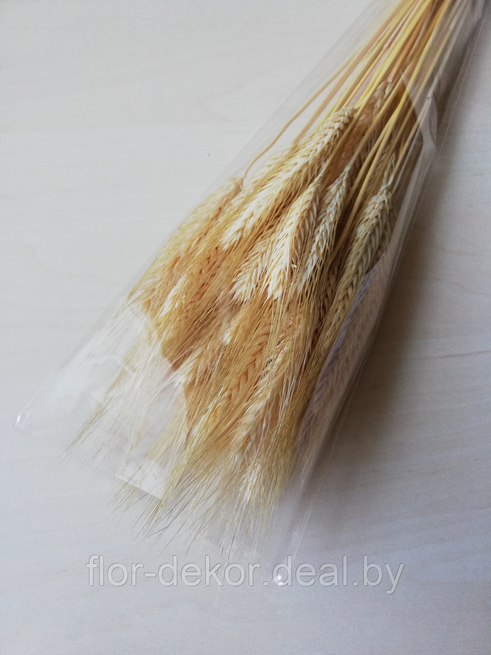 Колосья пшеницы остистой ,натуральные осветленные, 50+шт.