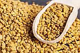 Пажитник семена (шамбала) "Narpa", 100 гр, фото 2