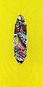 Скейт пенни борд с ручкой и светящимися колесами, арт. S00258, фото 5