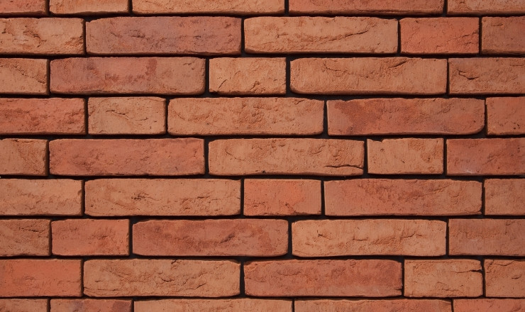Кирпич ручной формовки Aalborg WF +/-210х100х50мм (VANDERSANDEN)