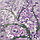 Алмазная мозаика 27*27см "Darvish", фото 3