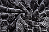 Плед Elway Suzan 160х210 с тисненым узором, графит, фото 5
