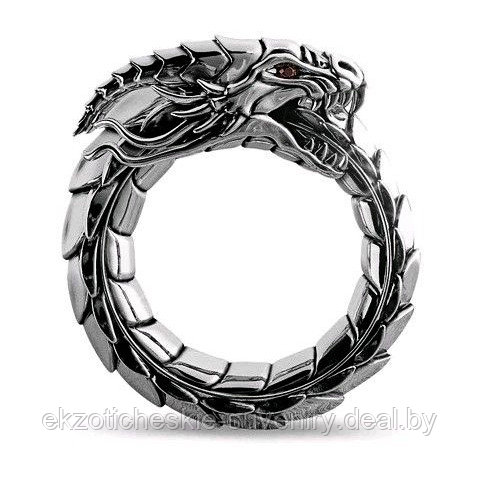 Кольцо Уроборос, тёмный металл, размер 11 - фото 2 - id-p160006832