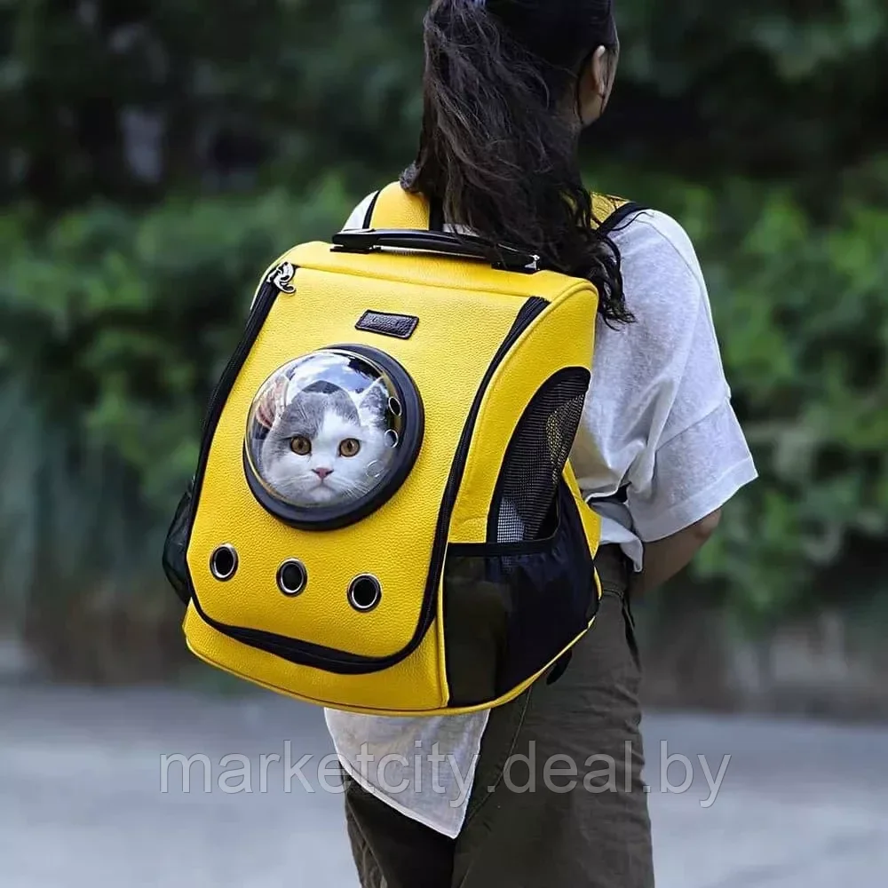 Рюкзак-переноска для животных Xiaomi Little Beast Star Pet Bag (XN11-5001) желтый - фото 4 - id-p160071870