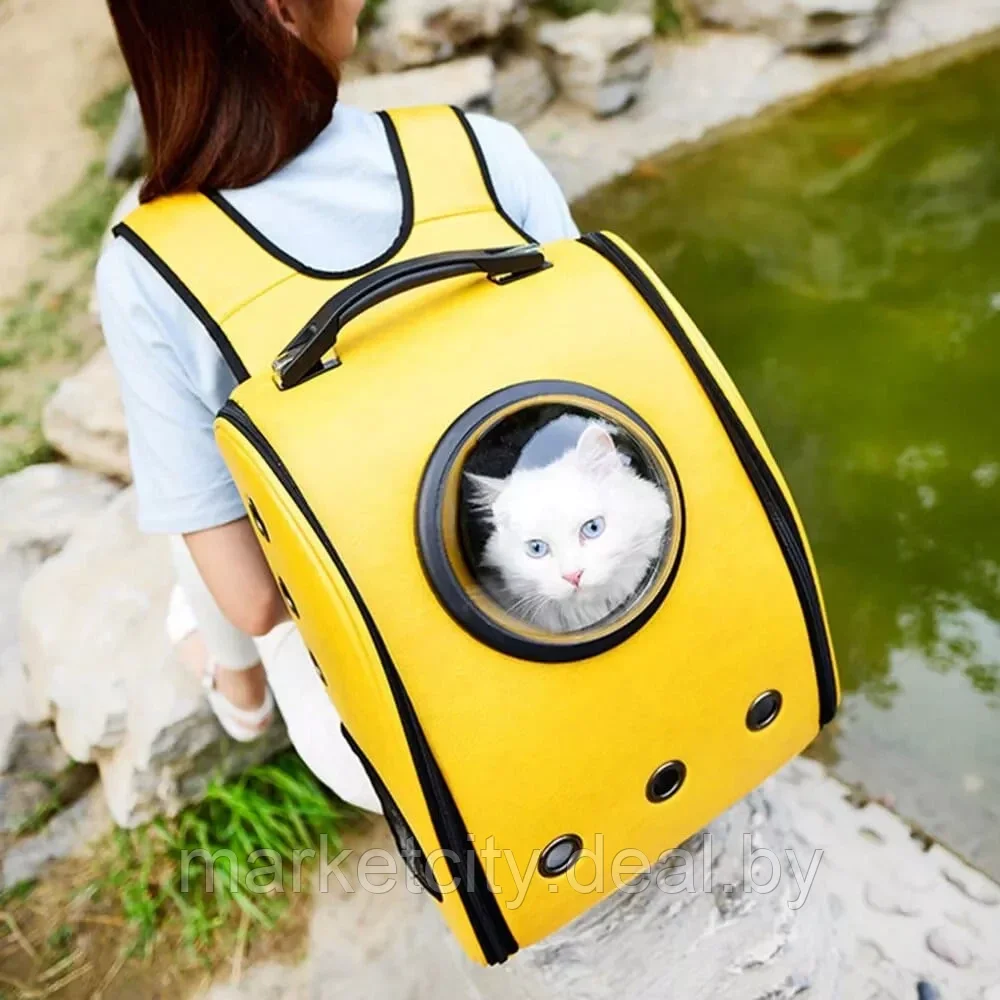 Рюкзак-переноска для животных Xiaomi Little Beast Star Pet Bag (XN11-5001) желтый - фото 5 - id-p160071870