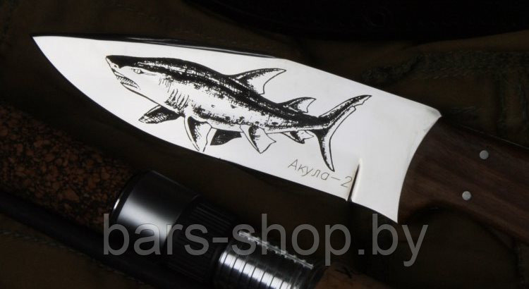 Нож разделочный «Акула-2» - фото 2 - id-p15416629