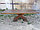 Стол садовый и банный из массива сосны "Сенатор" 2 метра, фото 2
