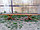 Лавка садовая и банная из массива сосны "Сенатор" 2 метра, фото 5
